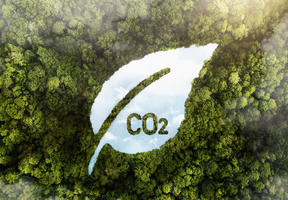Forêt avec une rivière en forme de feuille et une inscription CO2