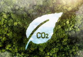 Forest with a river shaping like a leaf and CO2 scripture