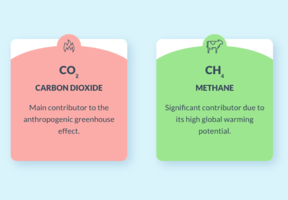 Infographic on greenhouse gases
