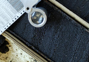 A sample of oil sands being analyzed.