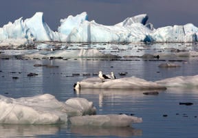 Image of the thaw of an ice field in Patagonia, 1,300 km south of Santiago de Chile
