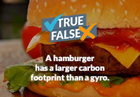 Fooprint_Hamburger