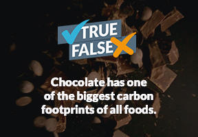 Footprint_Chocolate