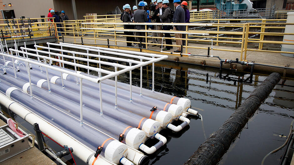 Un système qui produit des biocarburants et permet de traiter les eaux usées municipales, en captant le dioxyde de carbone
