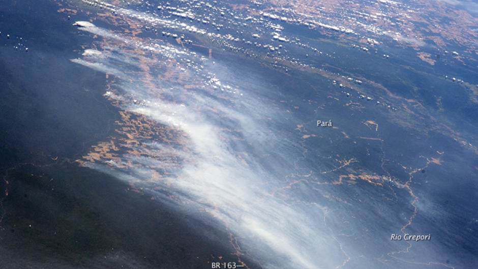 Deforestation from Sky