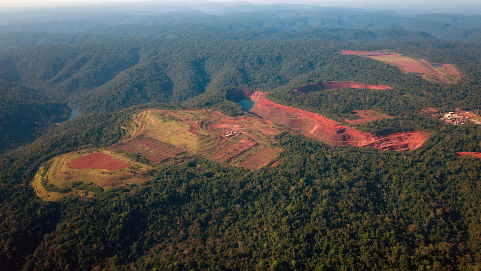 15. La déforestation reste une menace