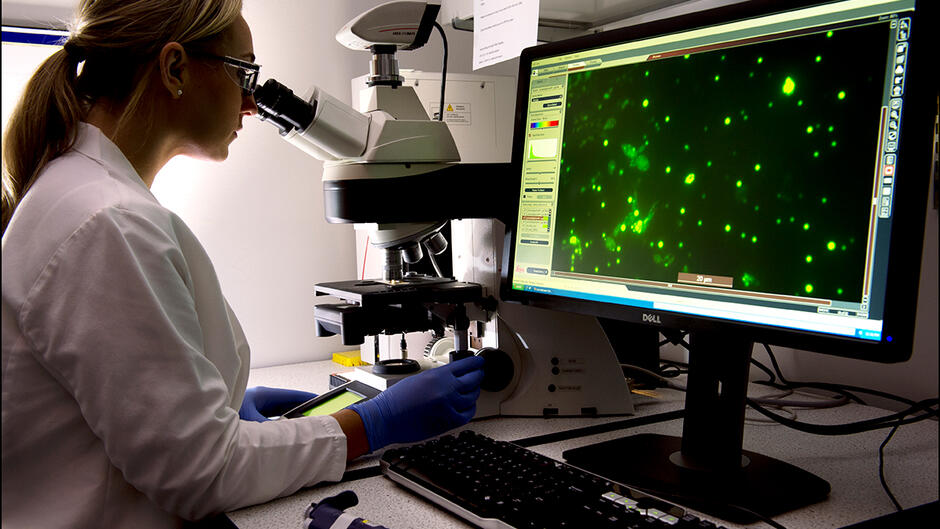 15 - De nouveaux métiers