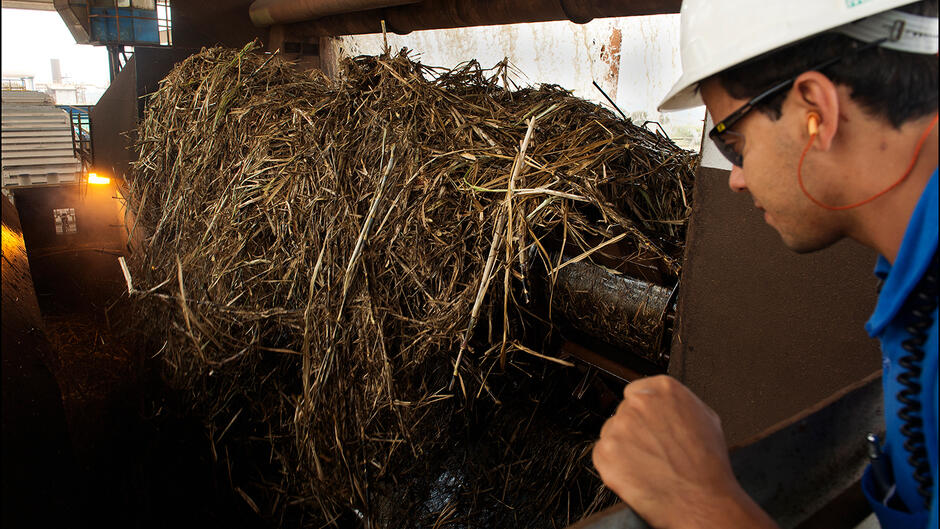 6 - Cane crushing 