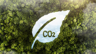 Forest with a river shaping like a leaf and CO2 scripture