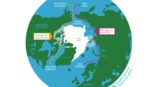 Skeleton map showing the northwest (orange) and northeast (red) sea lanes. The shaded areas are the regions that are sometimes free of ice, depending on the season.