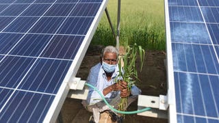 Solar panels energy transition India
