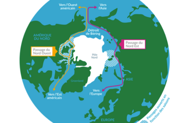Skeleton map showing the northwest (orange) and northeast (red) sea lanes. The shaded areas are the regions that are sometimes free of ice, depending on the season.